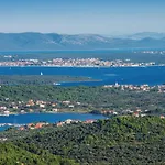 06 *
